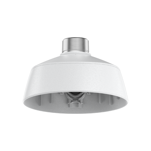 Pendant adapter; NPT; H6A